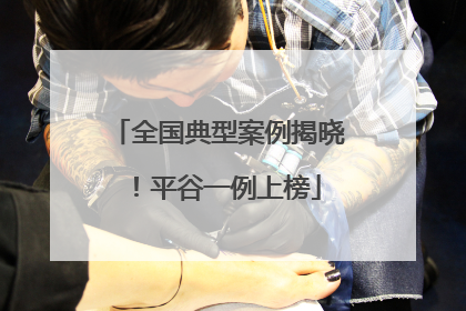 全国典型案例揭晓！平谷一例上榜