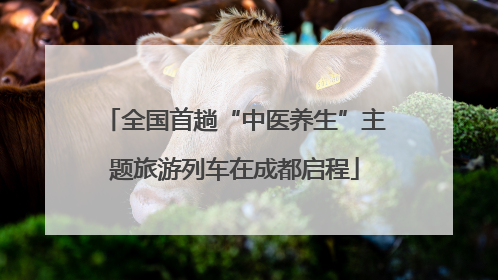 全国首趟“中医养生”主题旅游列车在成都启程