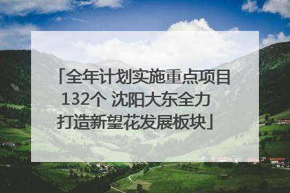 全年计划实施重点项目132个 沈阳大东全力打造新望花发展板块