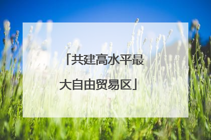 共建高水平最大自由贸易区