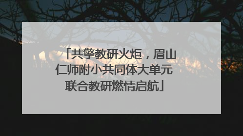 共擎教研火炬，眉山仁师附小共同体大单元联合教研燃情启航