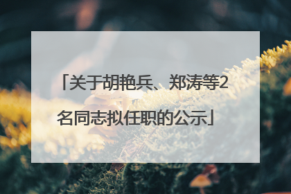 关于胡艳兵、郑涛等2名同志拟任职的公示