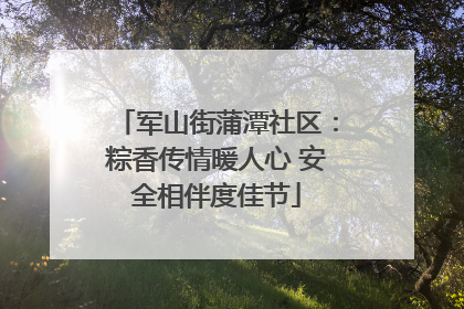 军山街蒲潭社区：粽香传情暖人心 安全相伴度佳节