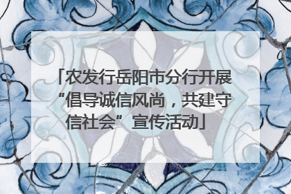 农发行岳阳市分行开展“倡导诚信风尚，共建守信社会”宣传活动