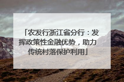 农发行浙江省分行：发挥政策性金融优势，助力传统村落保护利用