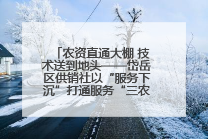 农资直通大棚 技术送到地头——岱岳区供销社以“服务下沉”打通服务“三农”最后一公里