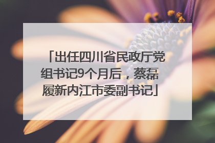 出任四川省民政厅党组书记9个月后，蔡磊履新内江市委副书记