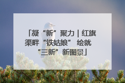 凝“新”聚力｜红旗渠畔“铁姑娘” 绘就“三新”新图景