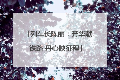 列车长陈丽：芳华献铁路 丹心映征程