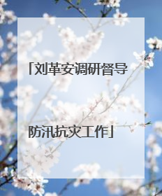 刘革安调研督导防汛抗灾工作