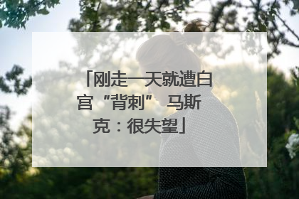 刚走一天就遭白宫“背刺” 马斯克：很失望