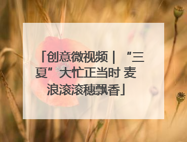 创意微视频｜“三夏”大忙正当时 麦浪滚滚穗飘香