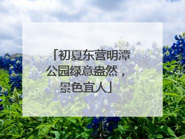 初夏东营明潭公园绿意盎然，景色宜人