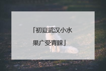 初夏武汉小水果广受青睐