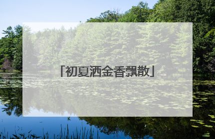 初夏洒金香飘散