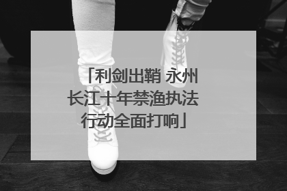 利剑出鞘 永州长江十年禁渔执法行动全面打响