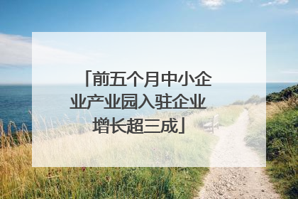 前五个月中小企业产业园入驻企业增长超三成