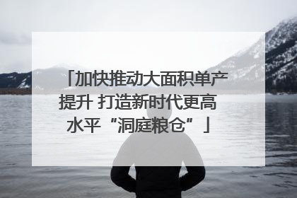 加快推动大面积单产提升 打造新时代更高水平“洞庭粮仓”