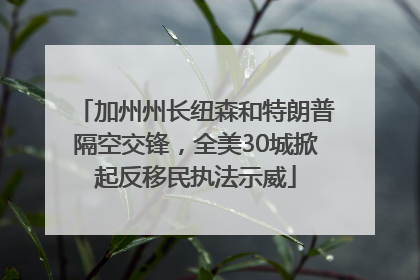 加州州长纽森和特朗普隔空交锋，全美30城掀起反移民执法示威