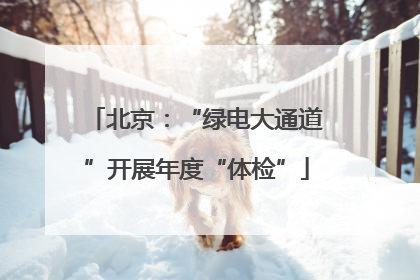 北京：“绿电大通道”开展年度“体检”