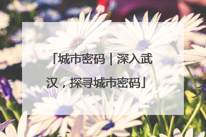 城市密码｜深入武汉，探寻城市密码