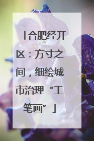 合肥经开区：方寸之间，细绘城市治理“工笔画”