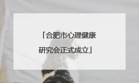 合肥市心理健康研究会正式成立
