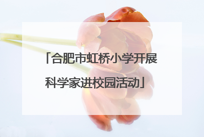 合肥市虹桥小学开展科学家进校园活动