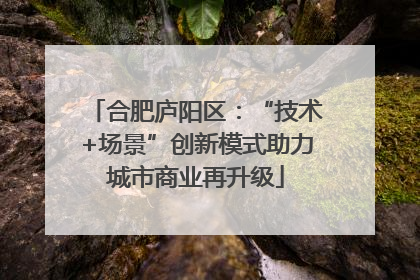 合肥庐阳区：“技术+场景”创新模式助力城市商业再升级