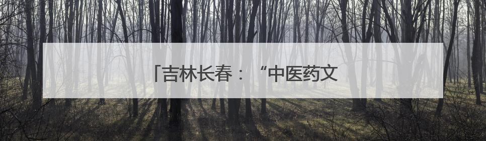 吉林长春：“中医药文化消夏夜市”受欢迎