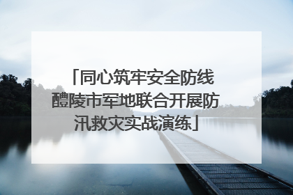 同心筑牢安全防线 醴陵市军地联合开展防汛救灾实战演练
