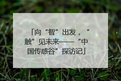 向“智”出发，“触”见未来——“中国传感谷”探访记