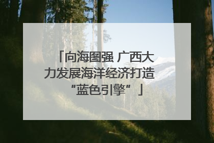 向海图强 广西大力发展海洋经济打造“蓝色引擎”