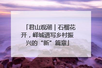 君山观潮｜石榴花开，峄城谱写乡村振兴的“新”篇章