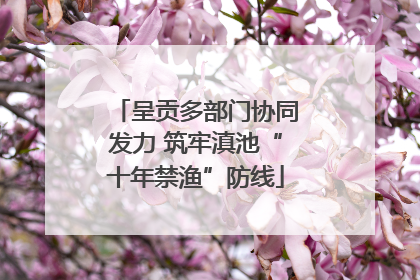 呈贡多部门协同发力 筑牢滇池“十年禁渔”防线