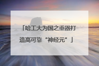 哈工大为国之重器打造高可靠“神经元”