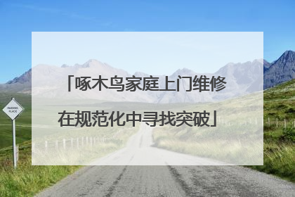 啄木鸟家庭上门维修在规范化中寻找突破