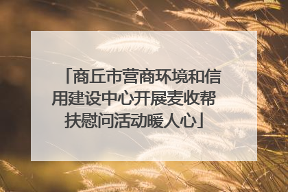 商丘市营商环境和信用建设中心开展麦收帮扶慰问活动暖人心