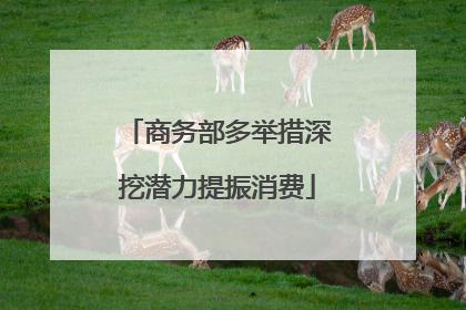 商务部多举措深挖潜力提振消费