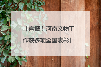 喜报！河南文物工作获多项全国表彰
