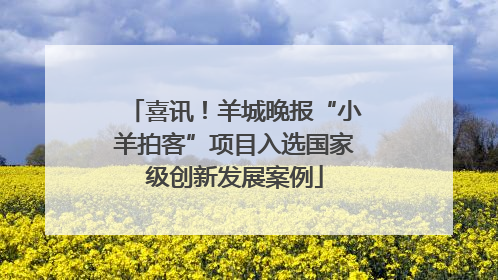 喜讯！羊城晚报“小羊拍客”项目入选国家级创新发展案例