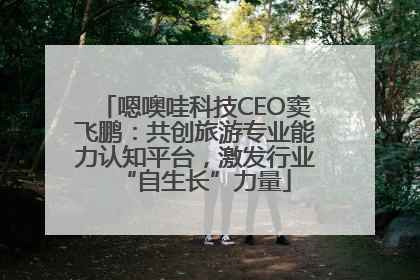 嗯噢哇科技CEO窦飞鹏：共创旅游专业能力认知平台，激发行业“自生长”力量