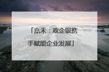 嘉禾：政企银携手赋能企业发展