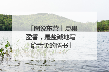 图说东营丨夏果盈香，是盐碱地写给舌尖的情书