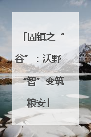 固镇之“谷”：沃野“智”变筑粮安