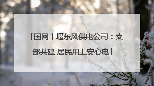国网十堰东风供电公司：支部共建 居民用上安心电