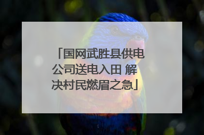 国网武胜县供电公司送电入田 解决村民燃眉之急
