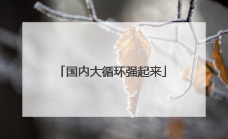国内大循环强起来