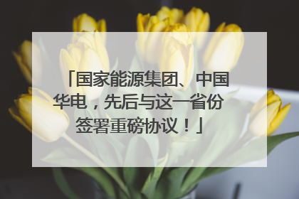 国家能源集团、中国华电，先后与这一省份签署重磅协议！