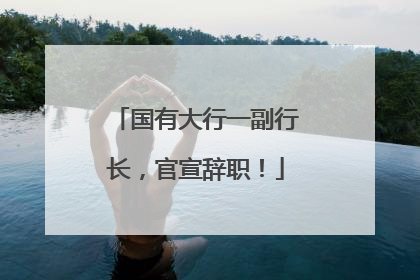 国有大行一副行长，官宣辞职！